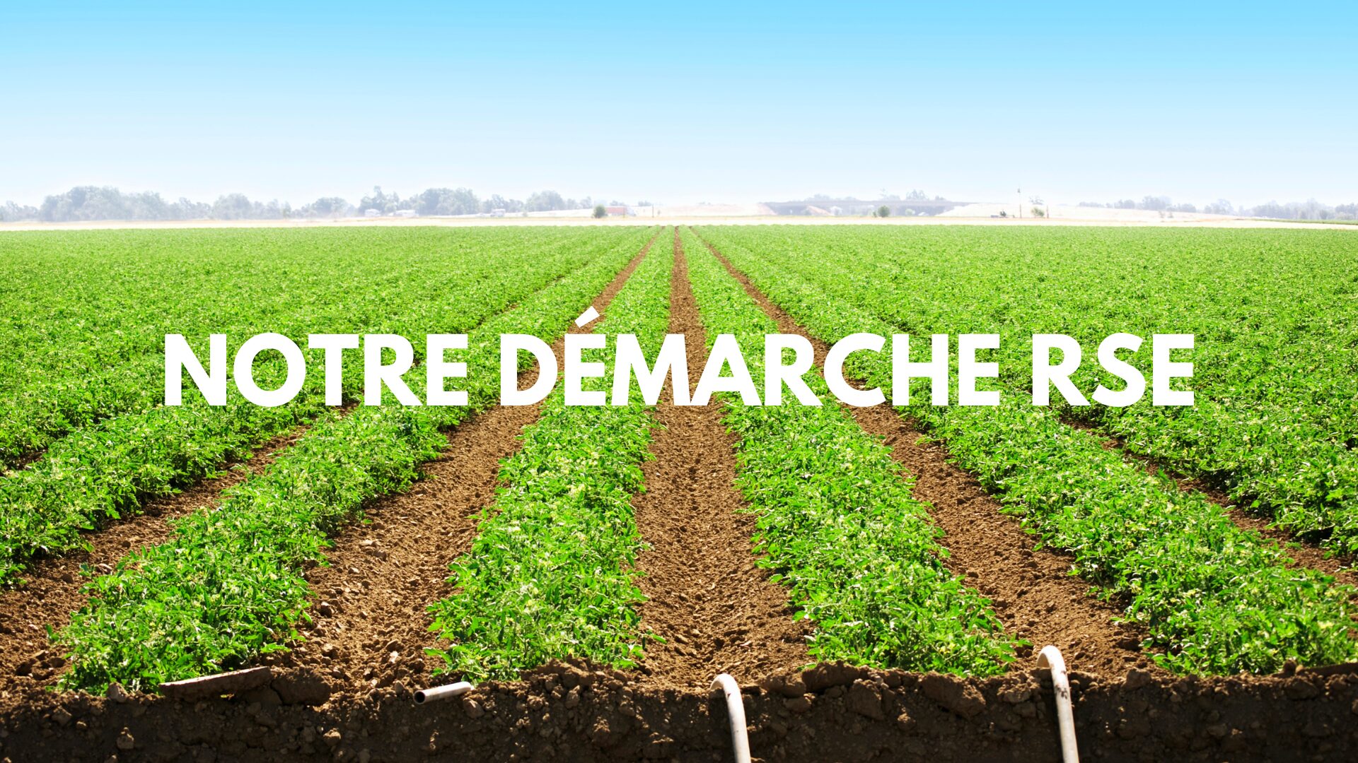 notre démarche rse